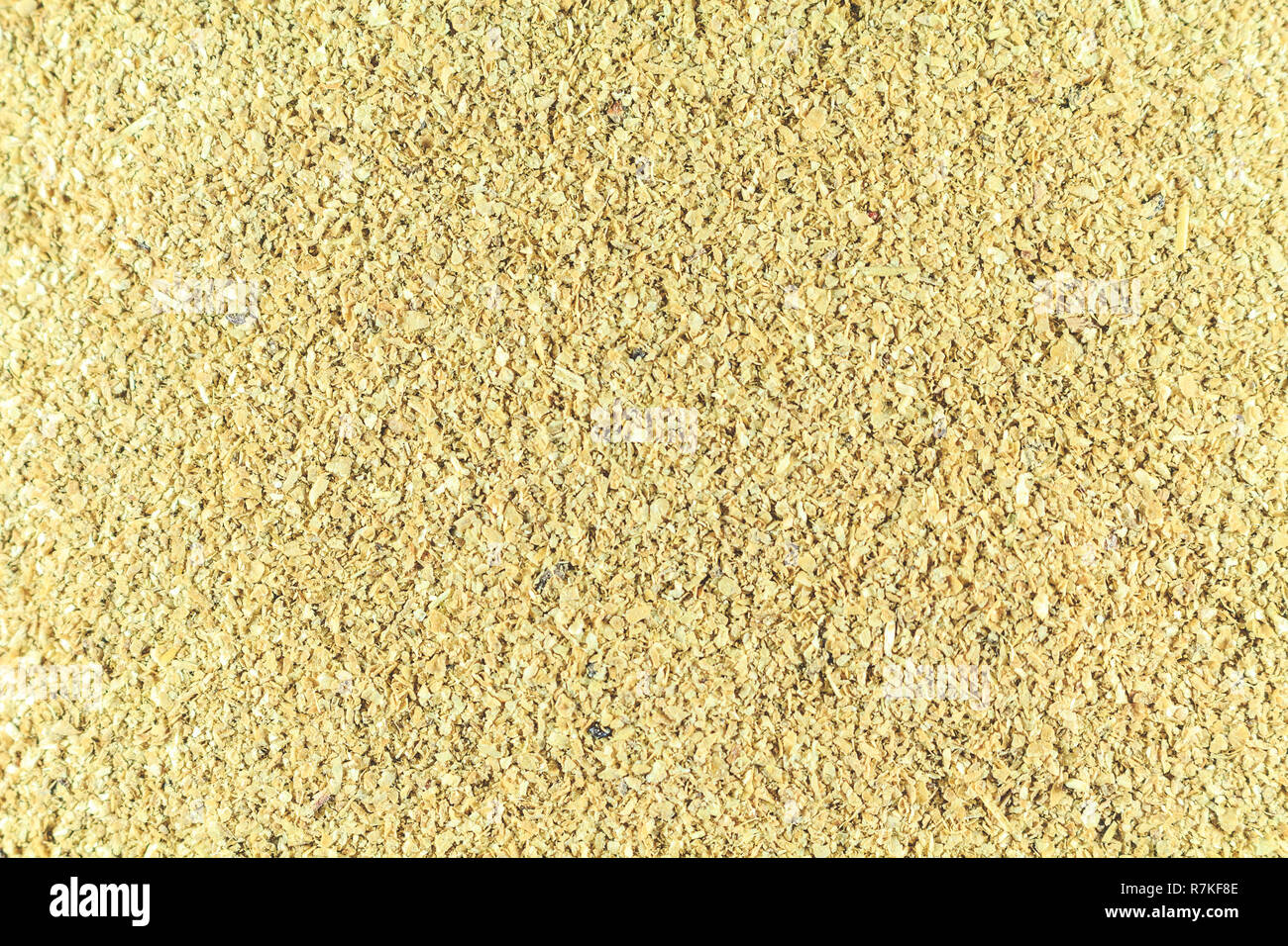 La cellulosa. Integratore alimentare. Guarda come la segatura di close-up Foto Stock