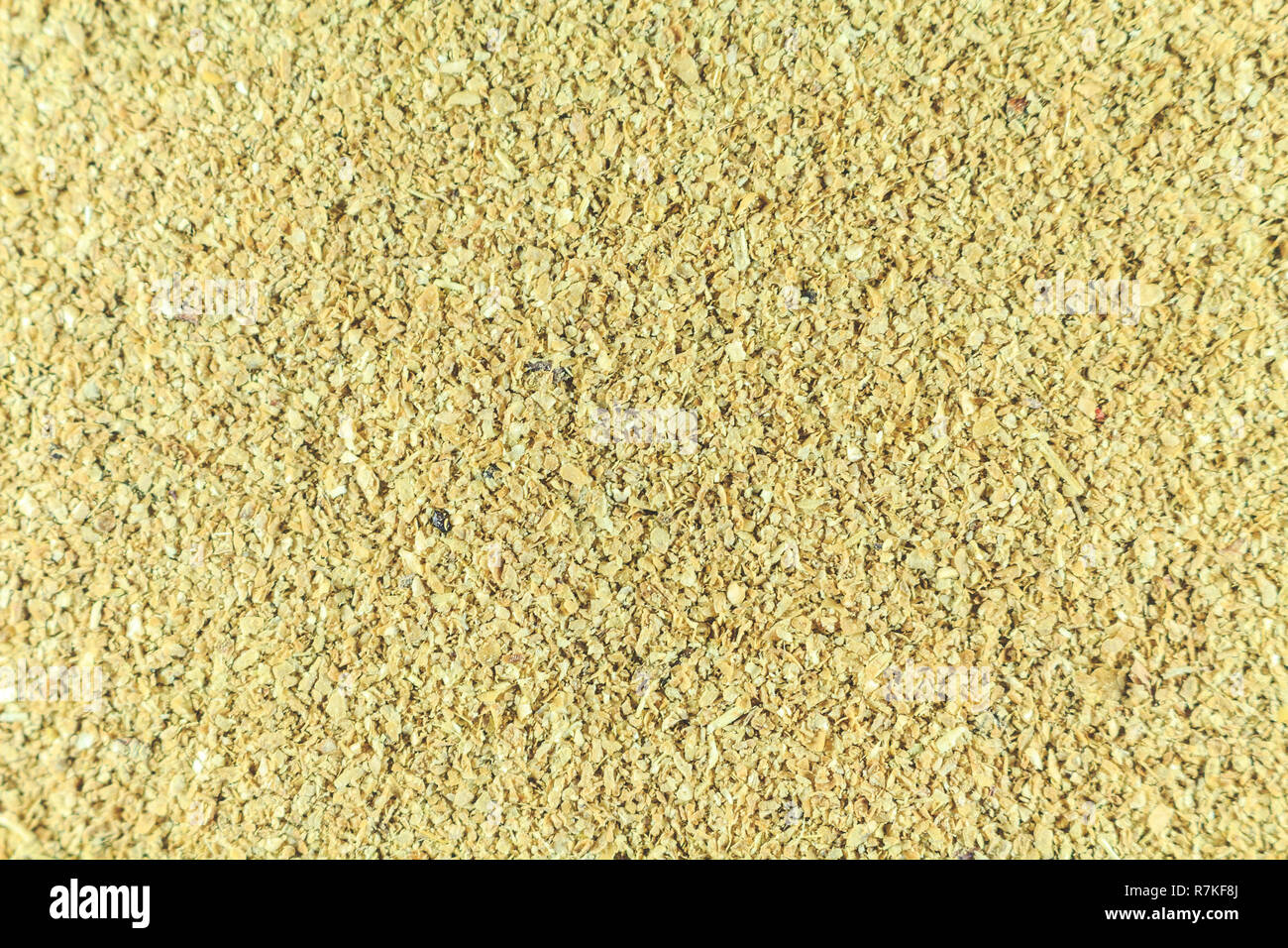 La cellulosa. Integratore alimentare. Guarda come la segatura di close-up Foto Stock