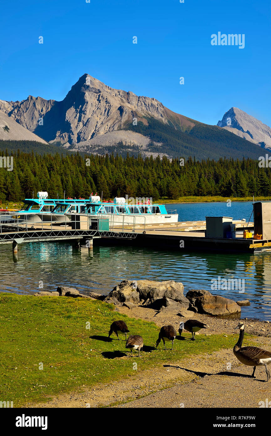 Un'immagine verticale delle montagne e delle barche che sono alla fine del Lago Maligne nel Parco Nazionale di Jasper. Foto Stock
