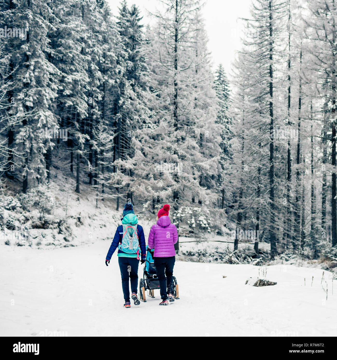 Due donne con passeggino godendo della maternità in inverno Foresta, Montagne Paesaggio. Madre escursionismo con un partner e un bambino in bianco boschi innevati. Foto Stock