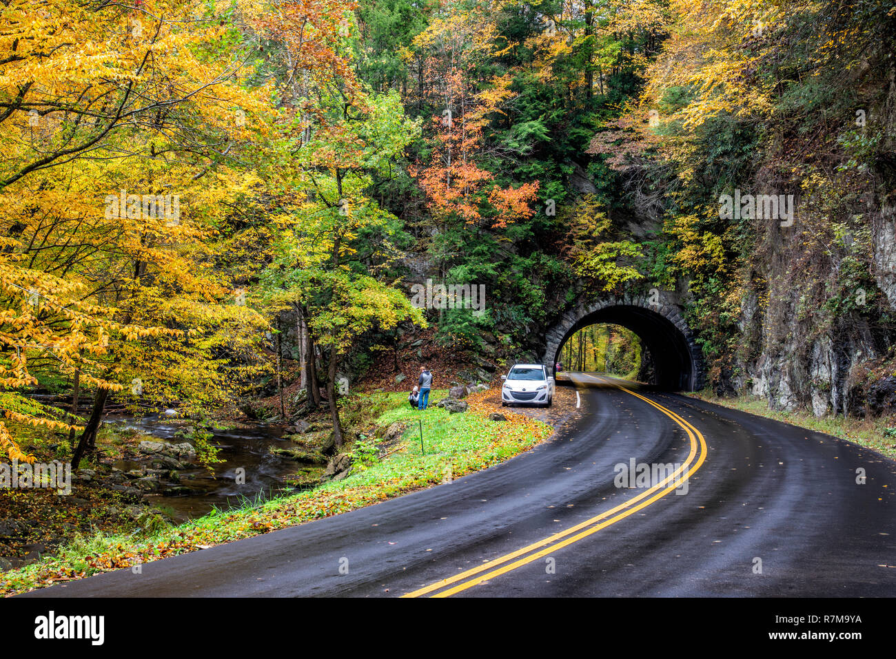 Parco Nazionale di Great Smoky Mountains, TN, Stati Uniti d'America - 11/2/2018: turisti fotografare Colore di autunno nel Smokies Foto Stock