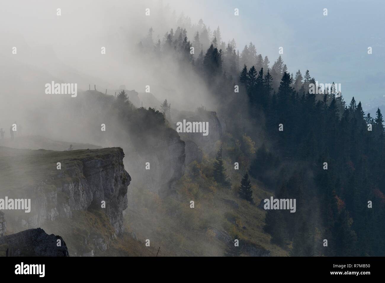 La Svizzera, del Giura, il cantone di Neuchâtel, massiccio Chasseral, Massif du Jura, di nebbia che copre la nervatura e la foresta di abeti Foto Stock