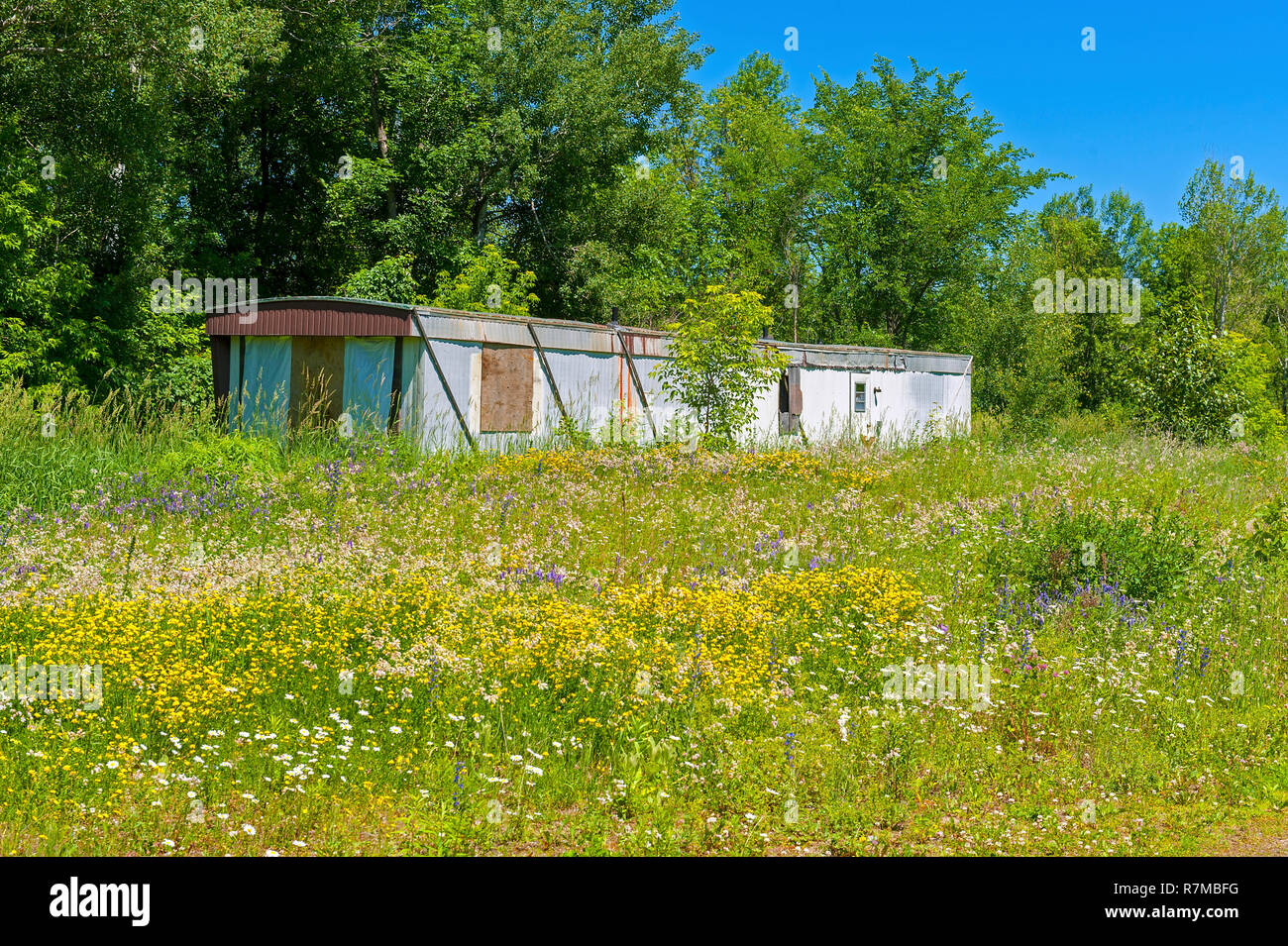 Abbandonata la casa mobile nel campo Foto Stock