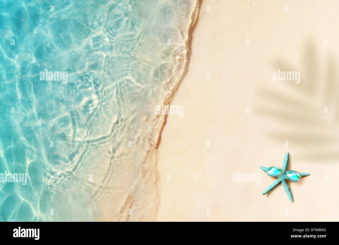 Stella di mare sulla spiaggia d'estate. Estate sfondo. Tropicale sulla spiaggia di sabbia. Foto Stock