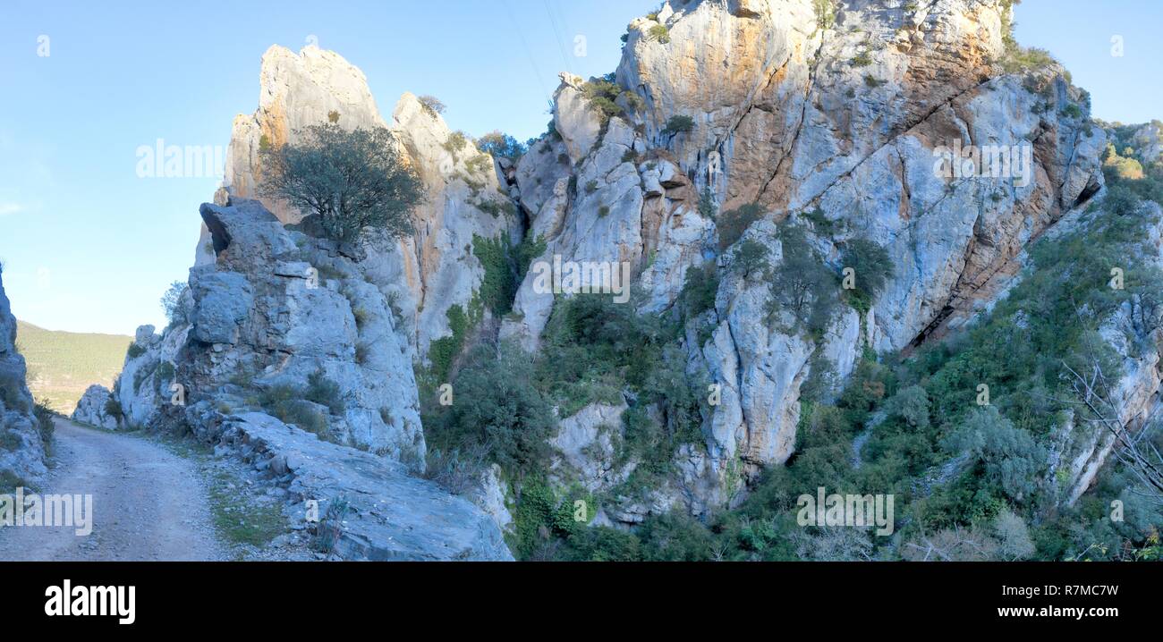 Un percorso accanto a una scarpata in Foz de Escalete violazione sulle alte montagne rocciose di La Peña lago, con gli alberi sulle rocce, al tramonto, in Aragona, Spagna Foto Stock
