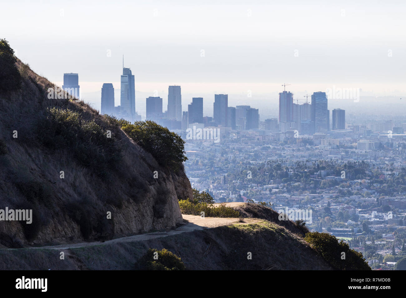 La mattina presto vista di Griffith sentieri del Parco e il centro cittadino di torri in Los Angeles, California. Foto Stock