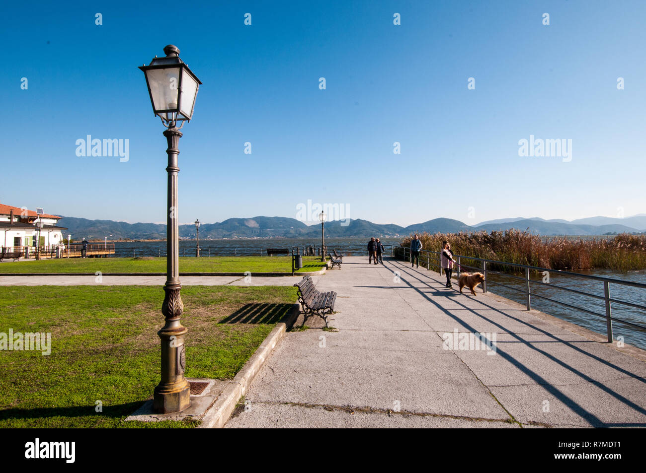 Il lago di Massaciuccoli da Torre del Lago Puccini Foto Stock
