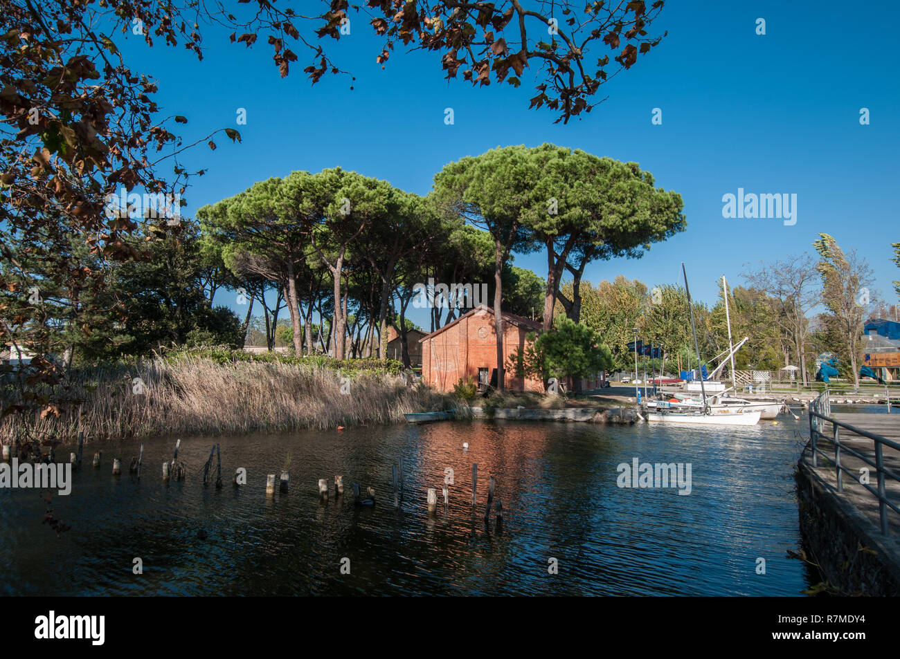 Il lago di Massaciuccoli da Torre del Lago Puccini Foto Stock