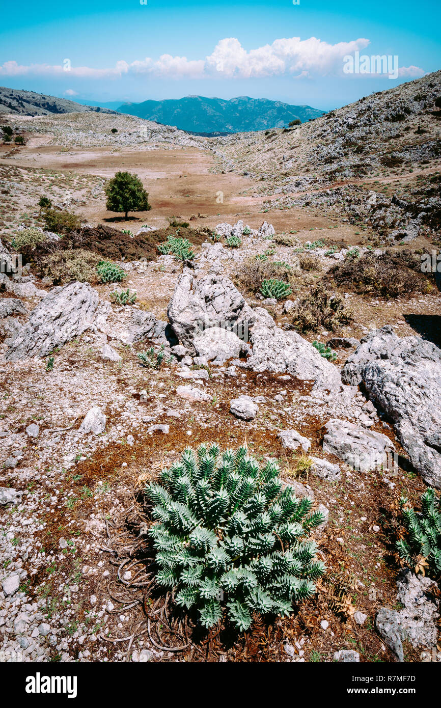 Incredibile mountainscape altopiano con moto paesaggi nuvole all'orizzonte. Altopiano roccioso in Grecia con vegetazione arida Foto Stock