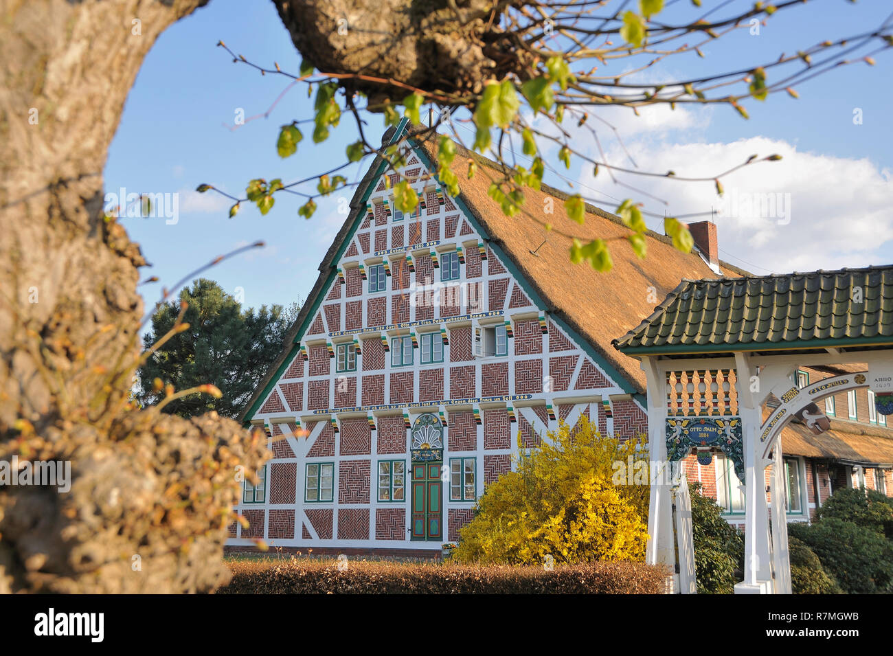 Altes Land Niedersachen,, Deutschland, Germania, Bassa Sassonia Foto Stock