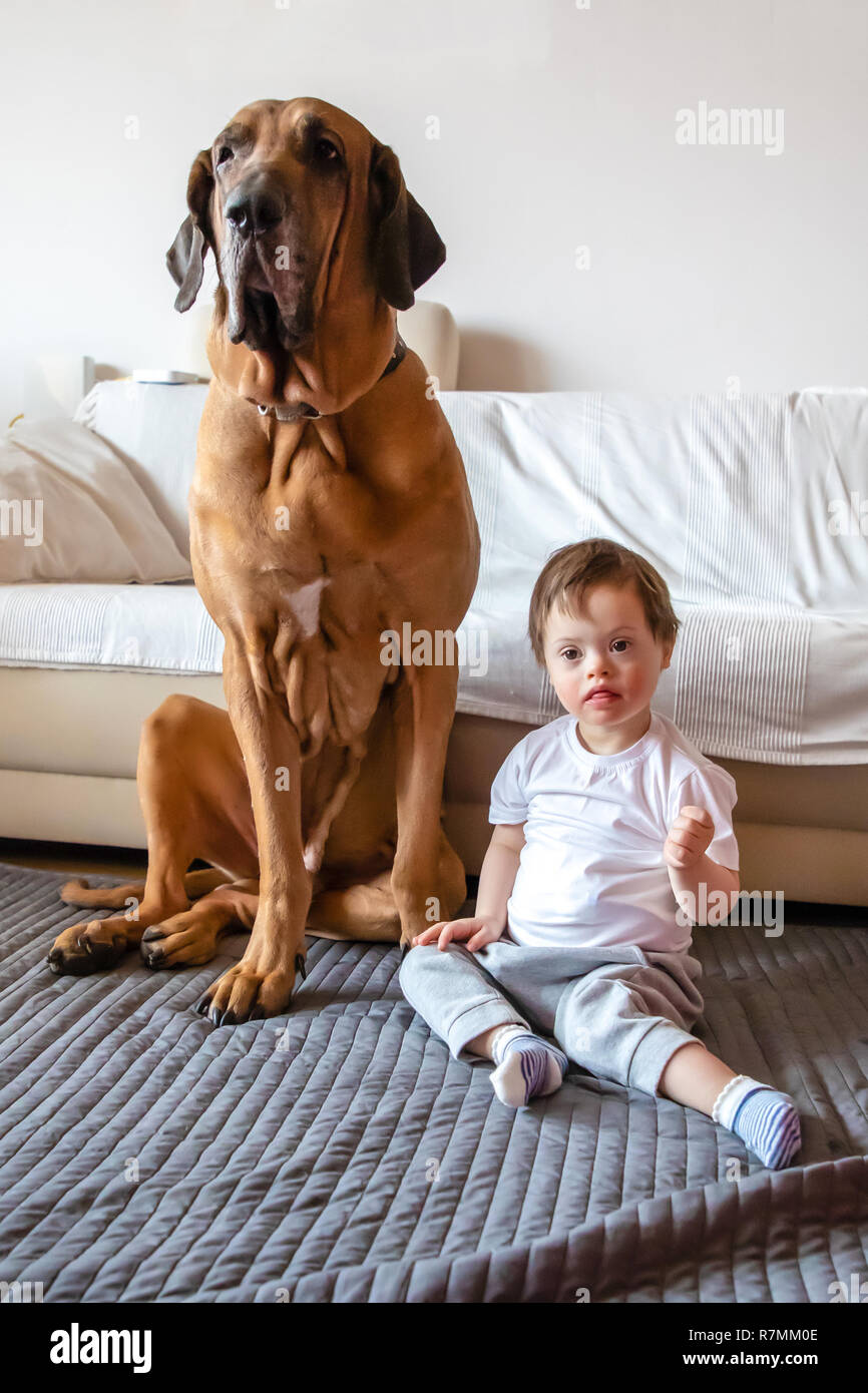 Carino piccolo ragazzo con la sindrome di Down giocando con Big Dog di Fila brasileiro razza Foto Stock