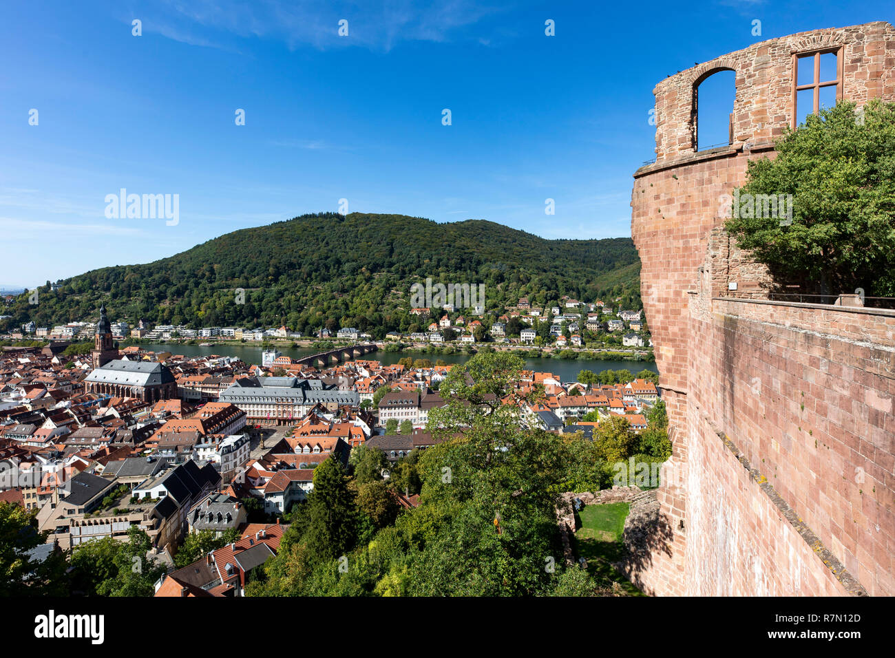 Vista dal castello di Heidelberg, la città vecchia di Heidelberg, fiume Neckar, Germania Foto Stock