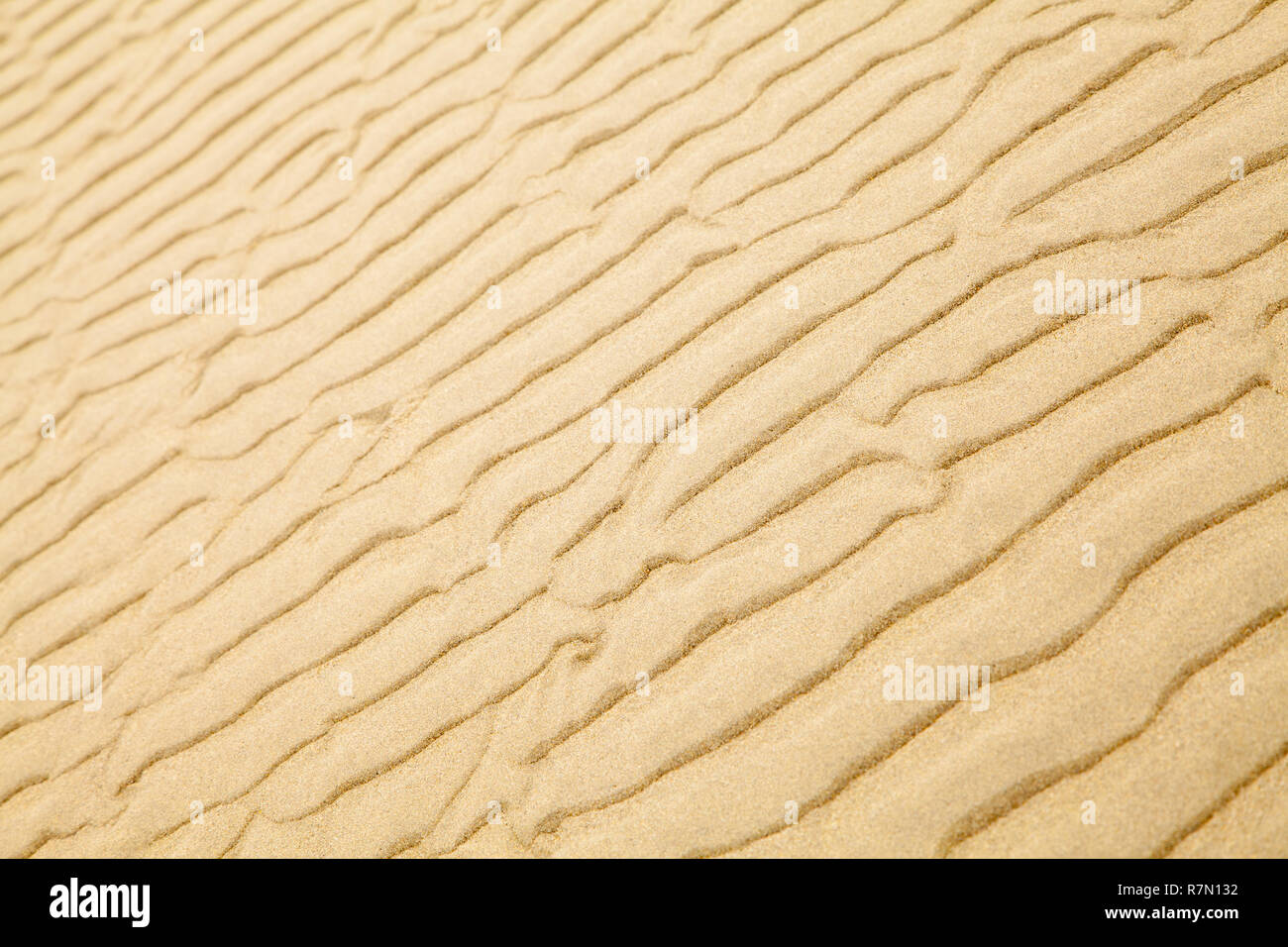 Tan spiaggia di sabbia con ripple sfondo Pattern. Foto Stock