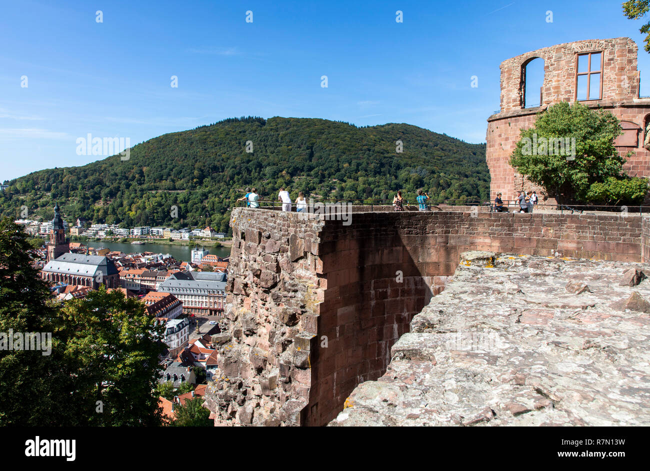 Vista dal castello di Heidelberg, la città vecchia di Heidelberg, fiume Neckar, Germania Foto Stock