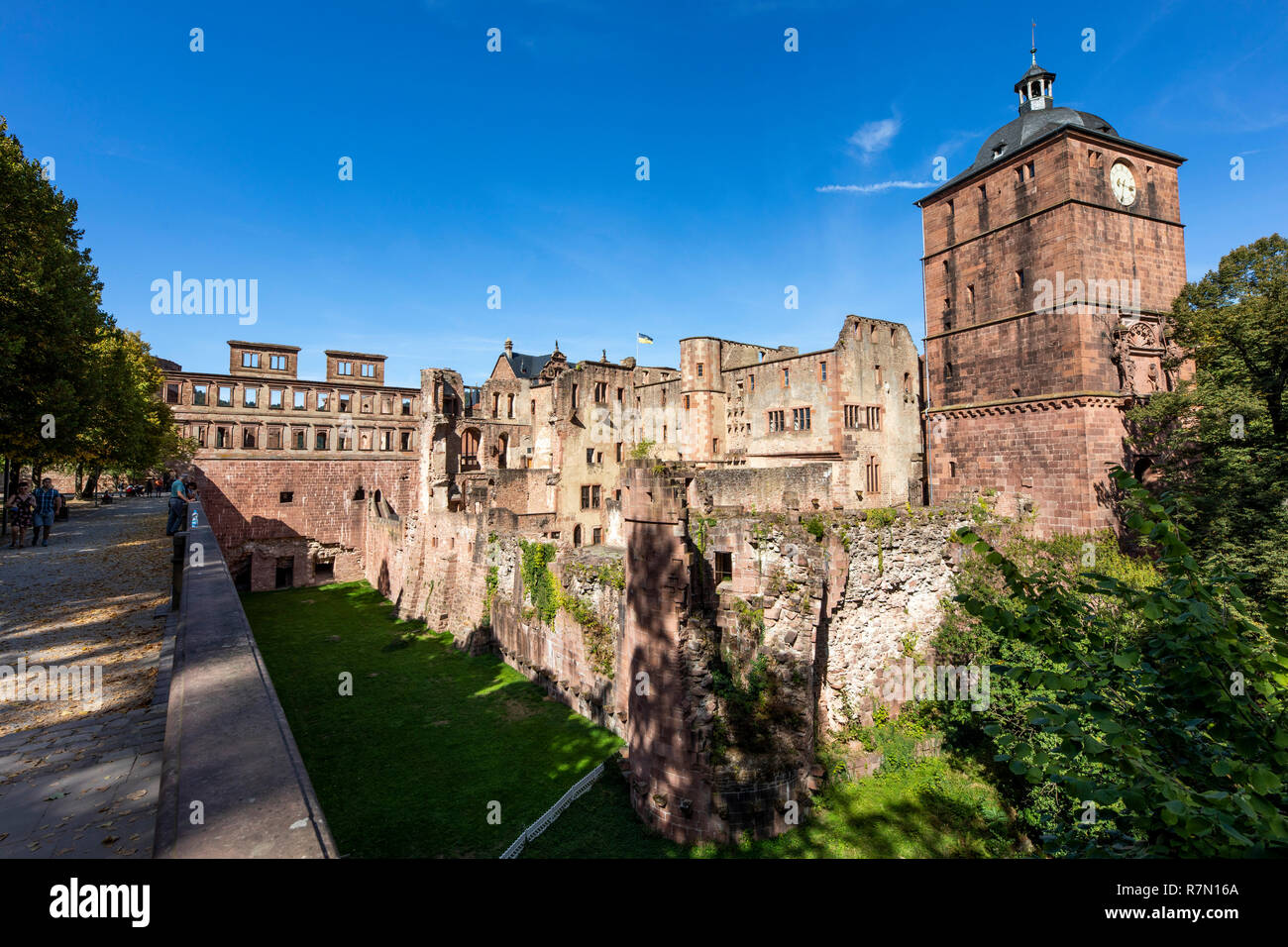 Il castello di Heidelberg, Heidelberg, Germania Foto Stock