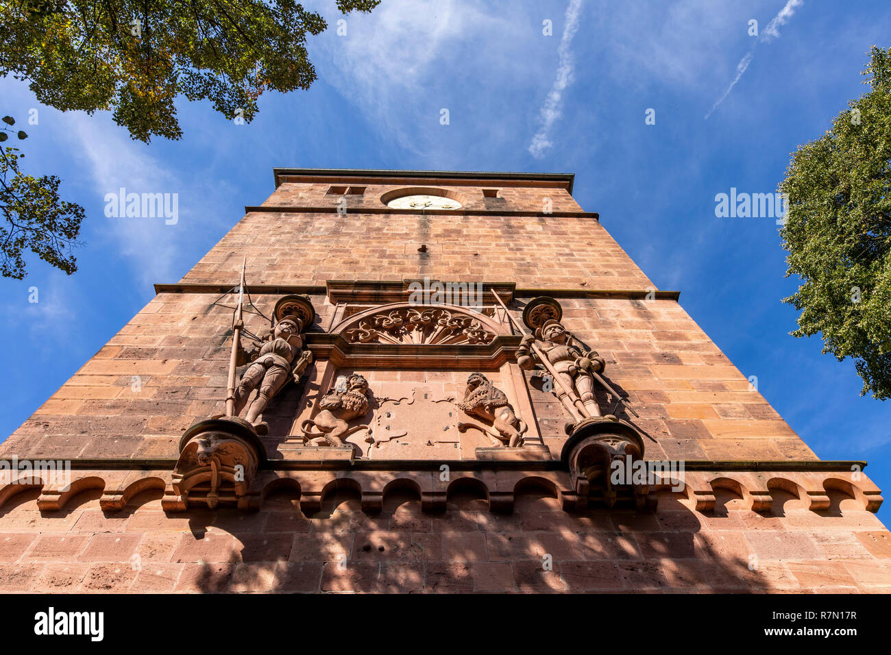 Il castello di Heidelberg, Heidelberg, Germania Foto Stock