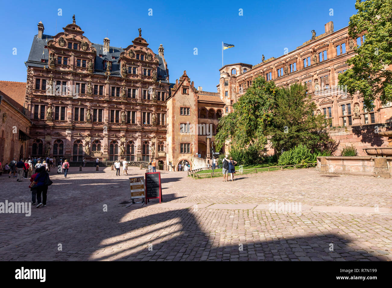 Il castello di Heidelberg, Heidelberg, Germania Foto Stock