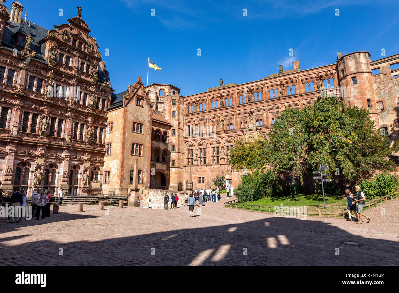 Il castello di Heidelberg, Heidelberg, Germania Foto Stock