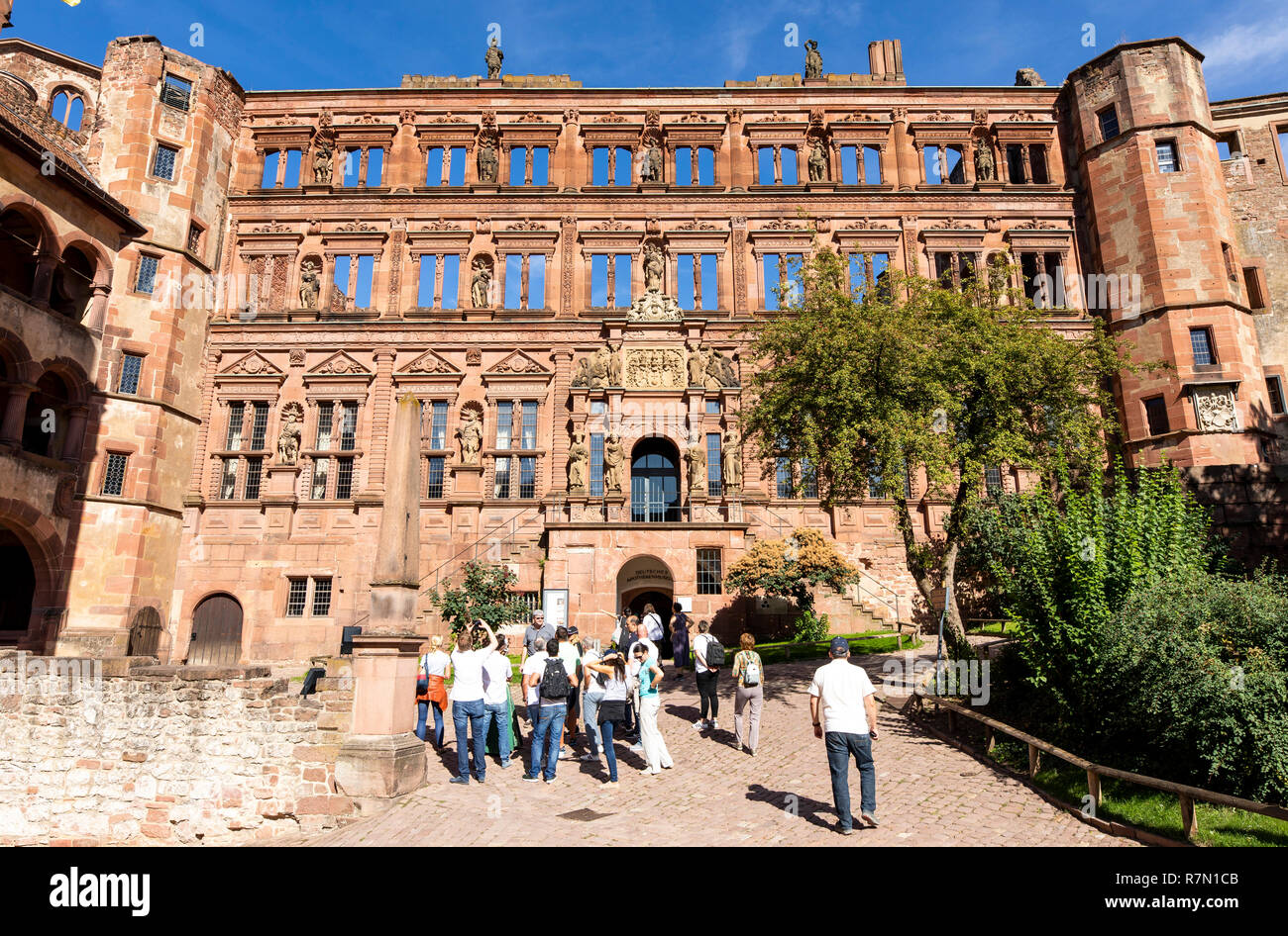 Il castello di Heidelberg, Heidelberg, Germania Foto Stock
