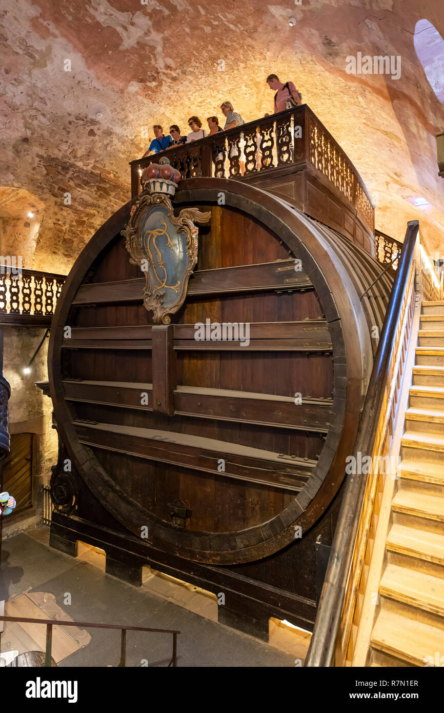 Il castello di Heidelberg, Heidelberg, presumibilmente più grande botte di vino nel mondo, Foto Stock