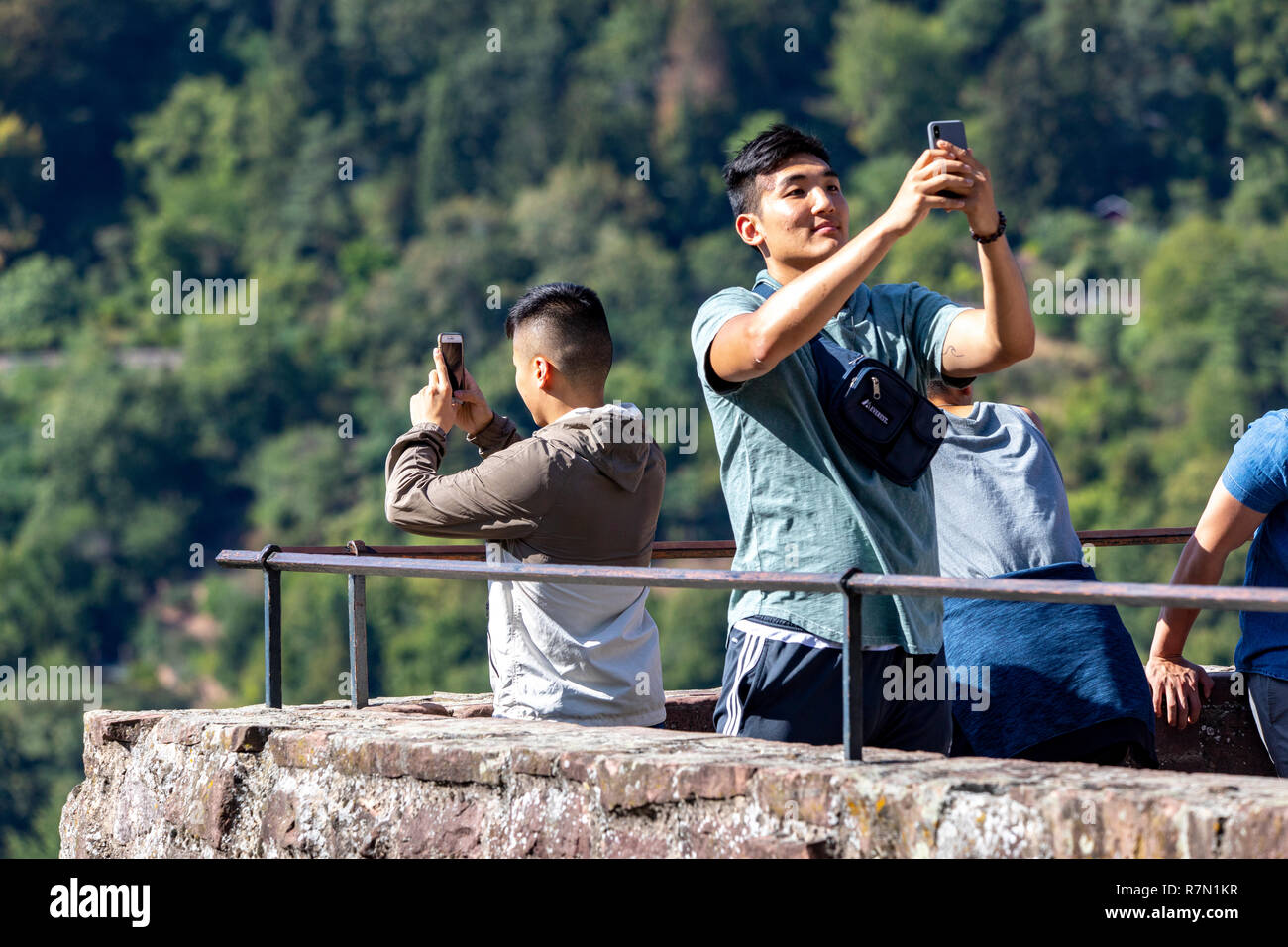 I turisti presso il castello di Heidelberg, Heidelberg, Foto Stock