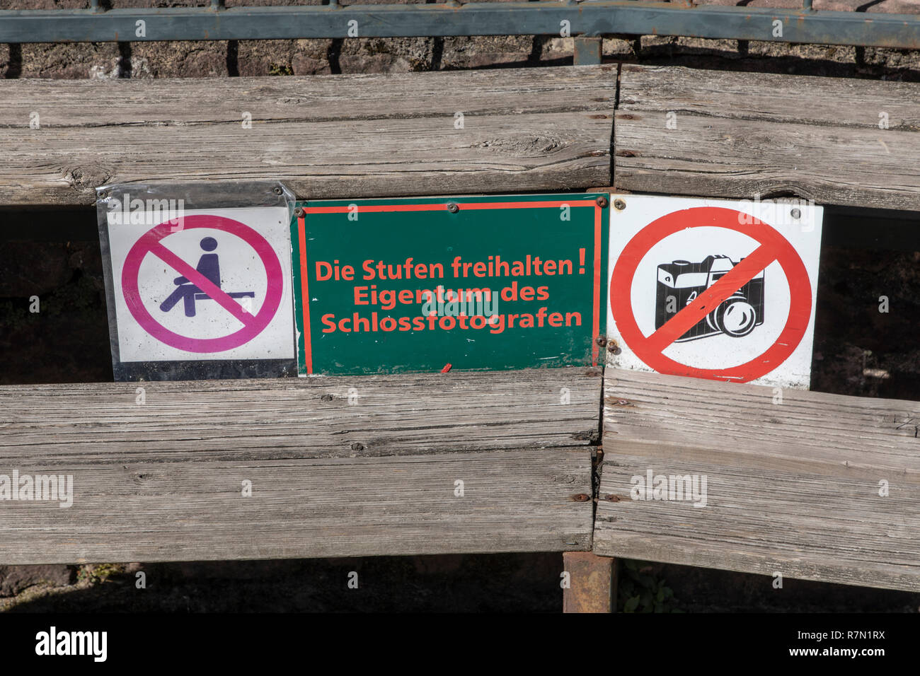 Il castello di Heidelberg, Heidelberg, indicazioni su un piedistallo in legno nel cortile, Foto Stock