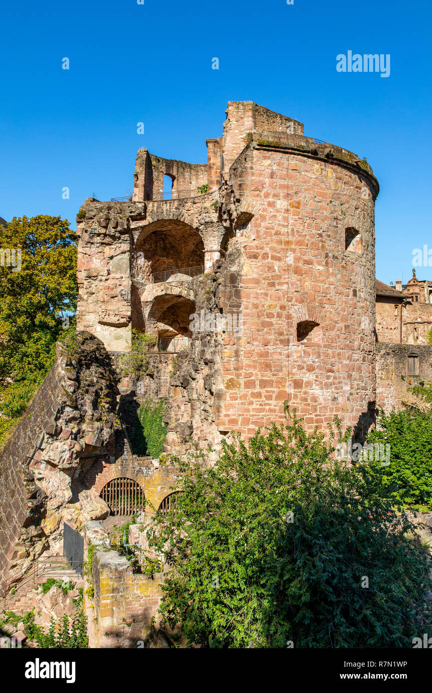 Il castello di Heidelberg, Heidelberg, Germania Foto Stock