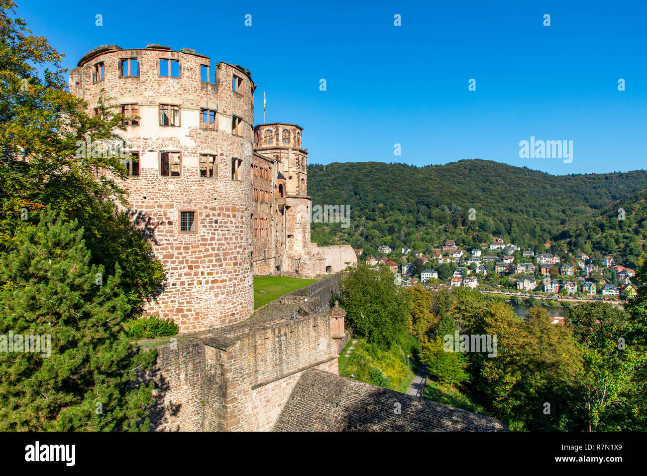 Il castello di Heidelberg, Heidelberg, Germania Foto Stock