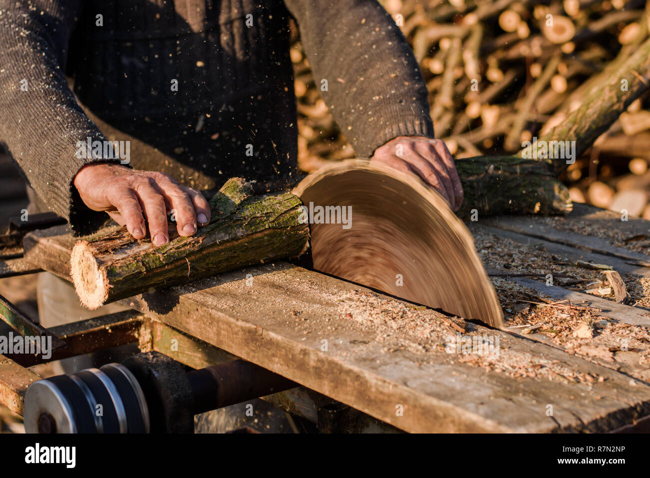 Uomo di legno da taglio con sega circolare fuori nel sole Foto stock - Alamy