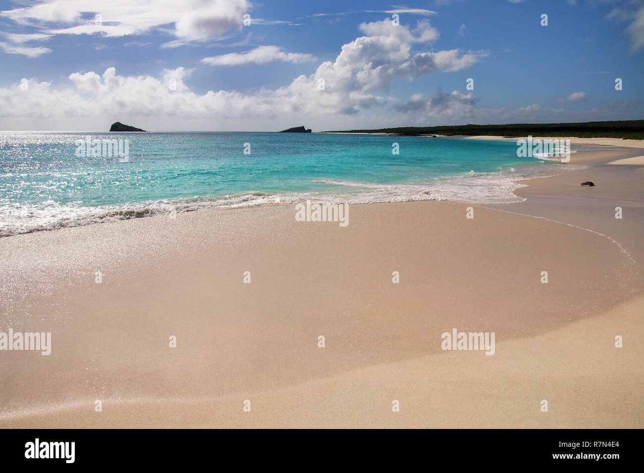 Spiaggia di sabbia a Baia Gardner sull Isola Espanola, Galapagos National Park, Ecuador. Foto Stock