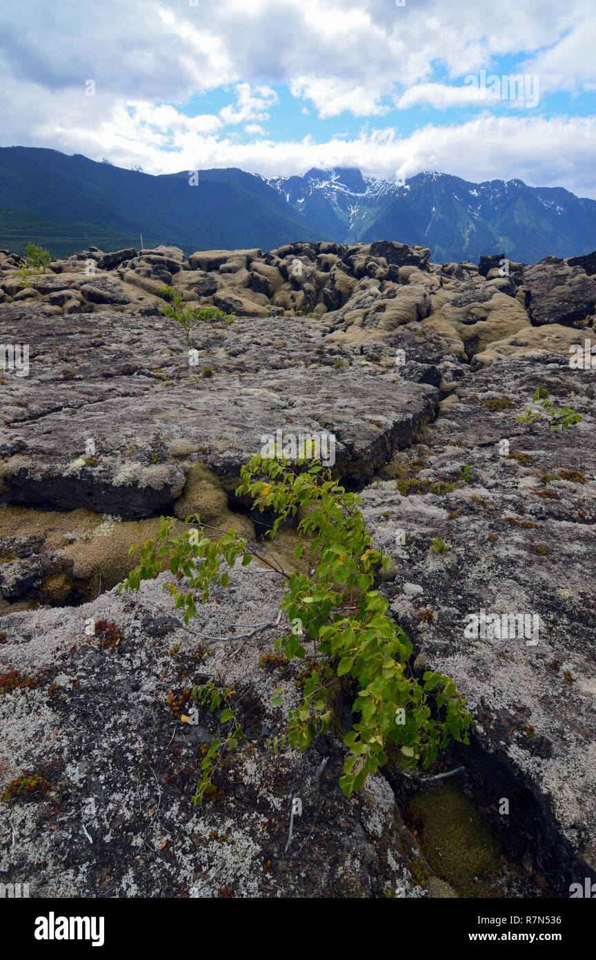 Fessure delle rocce in Nisga'un memoriale letto di lava, British Columbia, Canada Foto Stock