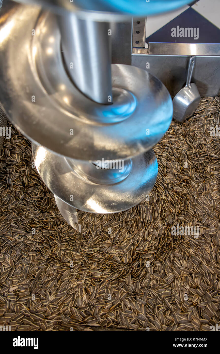 Macchina per l'asciugatura e tostatura di semi di girasole. La Grecia Foto Stock