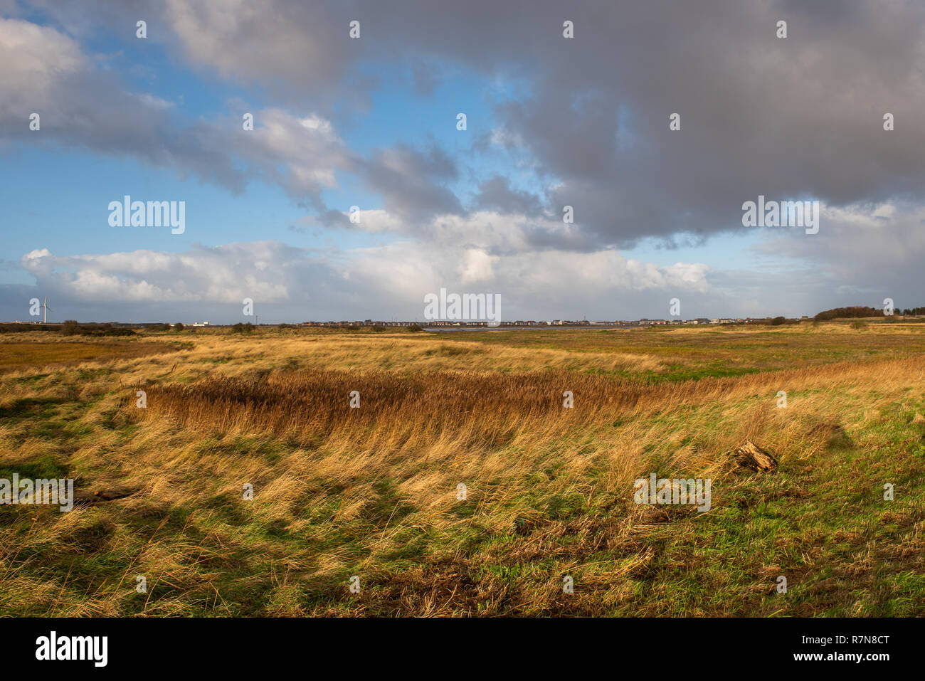 Barnaby sabbie della palude del fiume Wyre Lancashire Foto Stock