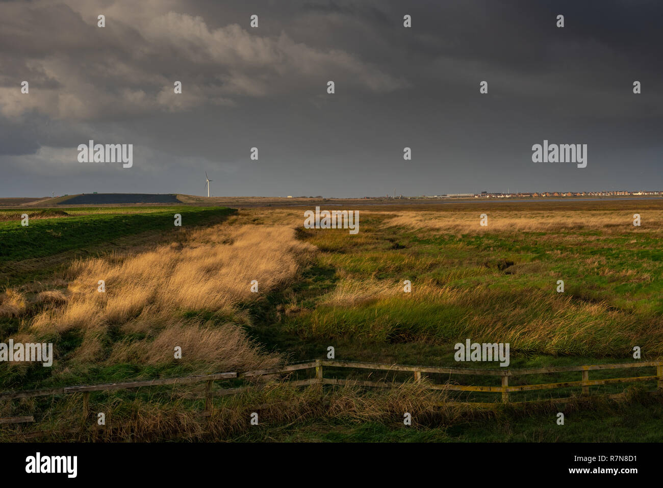 Barnaby sabbie della palude del fiume Wyre Lancashire Foto Stock
