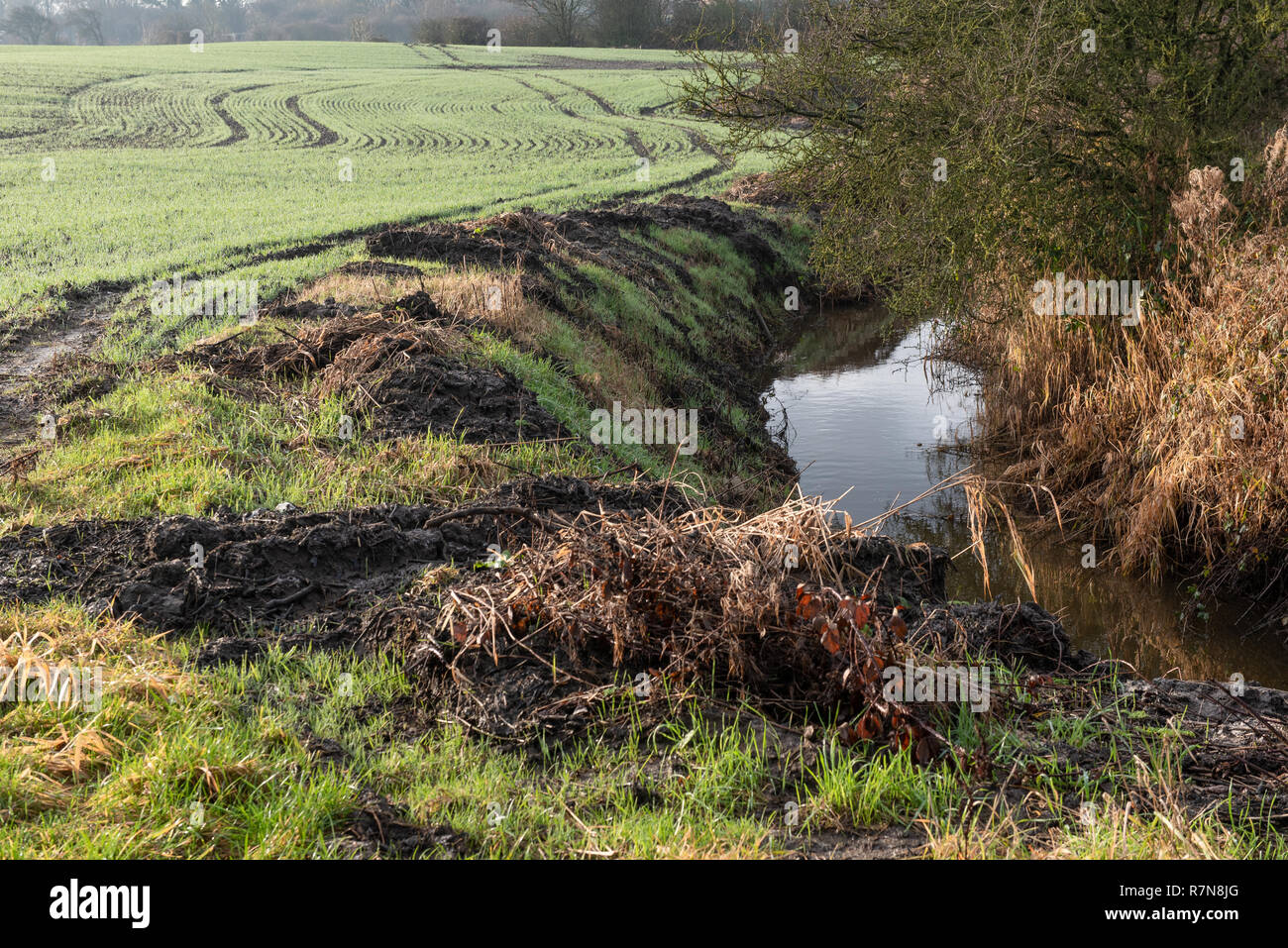 Dyke su esigenze Lane in Hambleton Lancashire Foto Stock