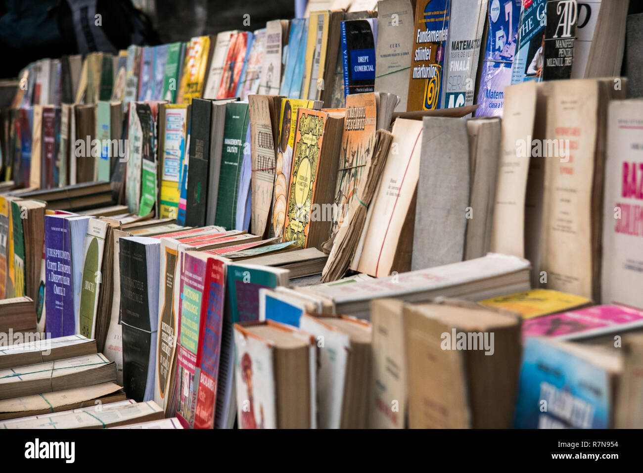 Libri, Mercato, Bucarest, Romania Foto Stock