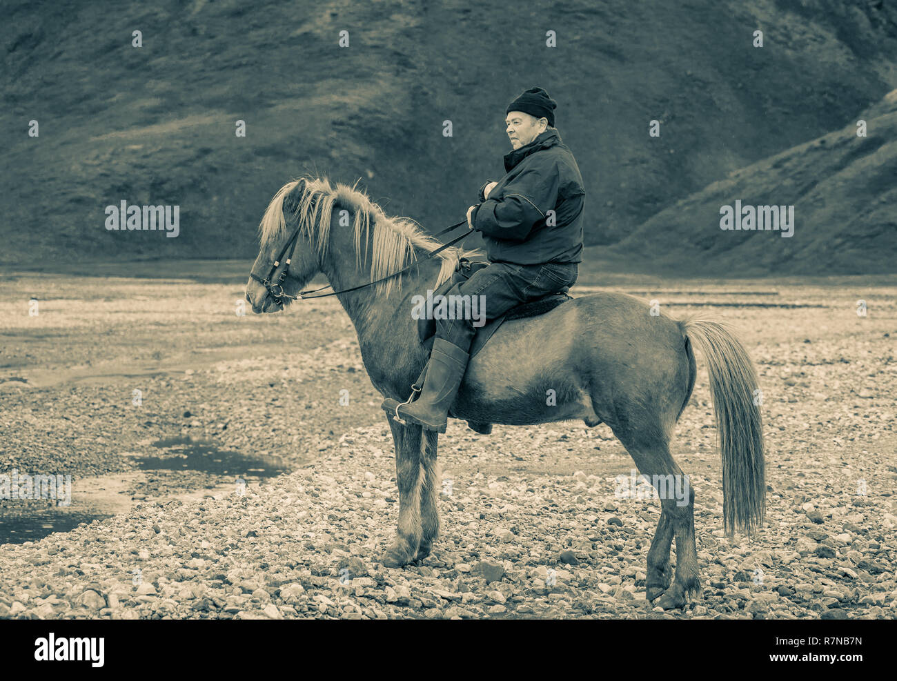 Ritratto di Contadino islandese sul suo cavallo, Landmannalaugar Highlands Centrali, Islanda Foto Stock
