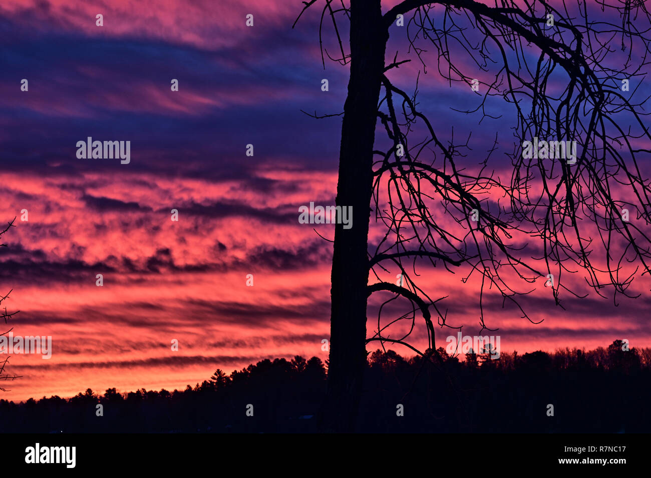 Bellissimo cielo orientale con un sunrise migliorando le nuvole Foto Stock