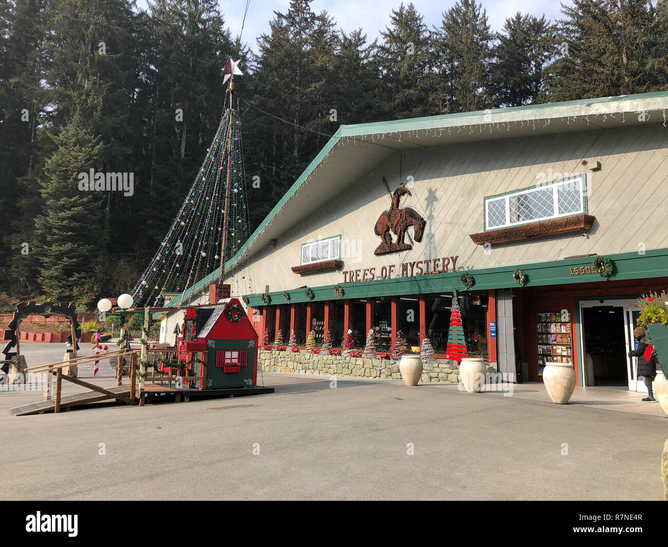 Klamath, CA - Novembre 20, 2018: Storefront e firmare all'entrata dello store per gli alberi di Mystery Park in California Redwoods. Foto Stock