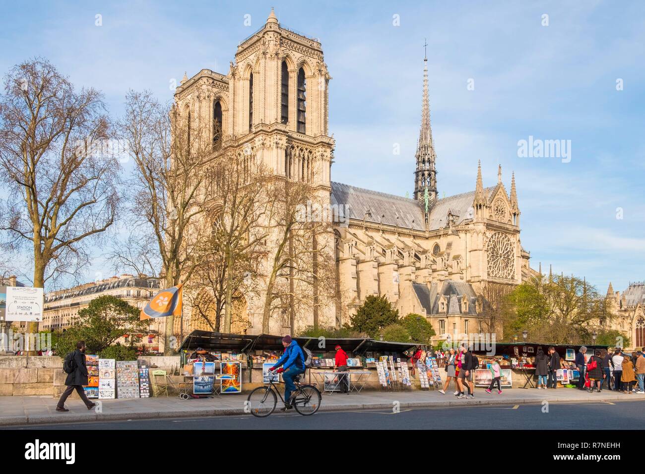 Francia, Parigi, zona elencata come patrimonio mondiale dall'UNESCO, la cattedrale di Notre Dame e le banchine a Printemps Foto Stock