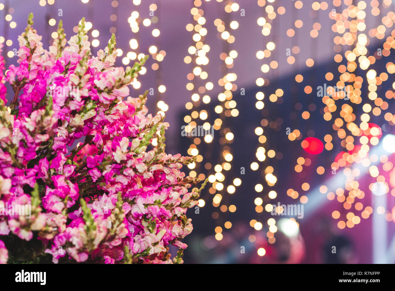 Fiori con sfocate luci di Natale sfondo. Riflessioni circolare. Foto Stock