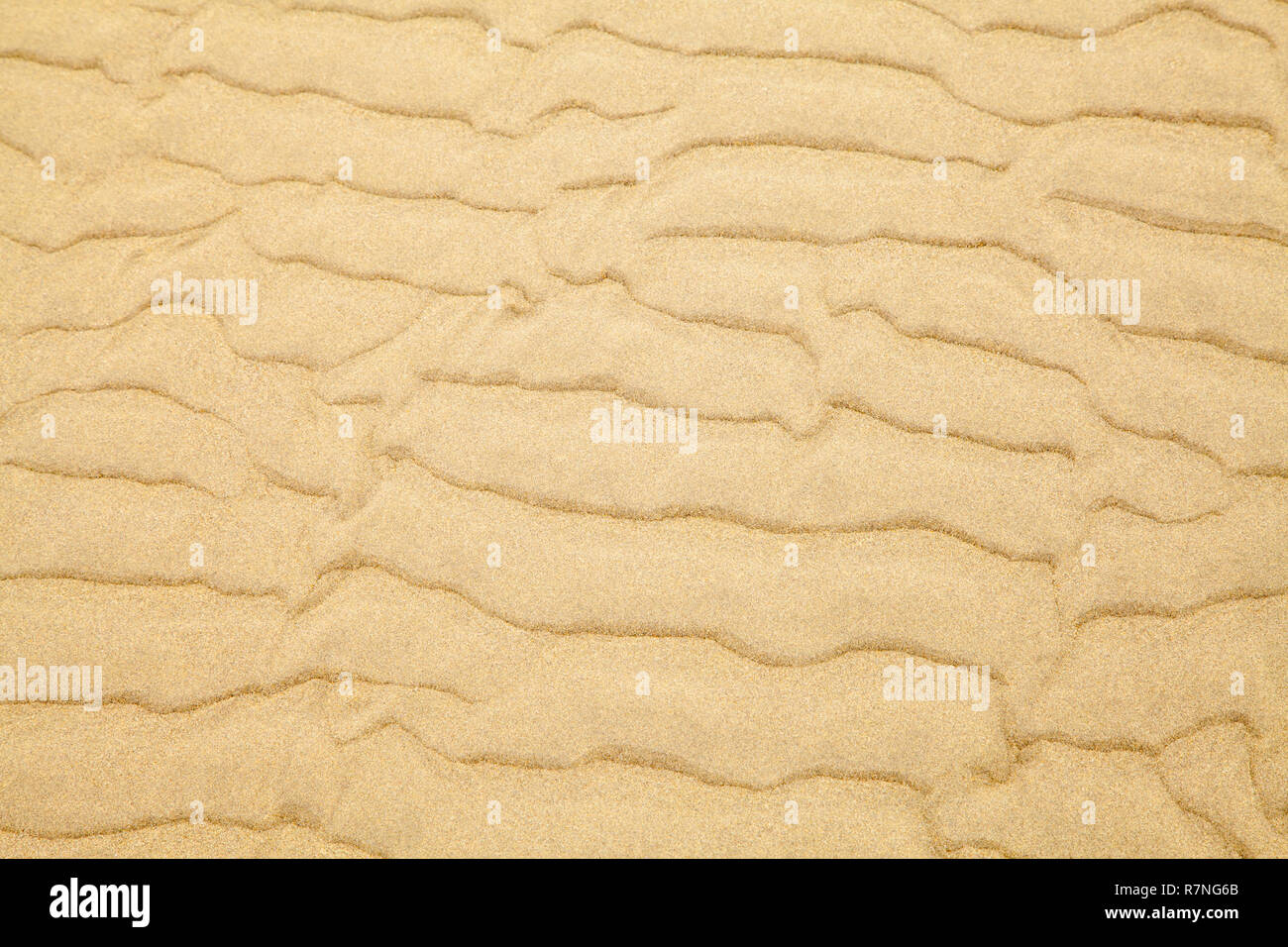 Tan spiaggia di sabbia con ripple sfondo Pattern. Foto Stock
