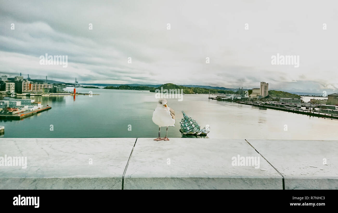 Vista di Oslo e il Mar Baltico dal ponte di osservazione della Opera House, Norvegia. Foto Stock