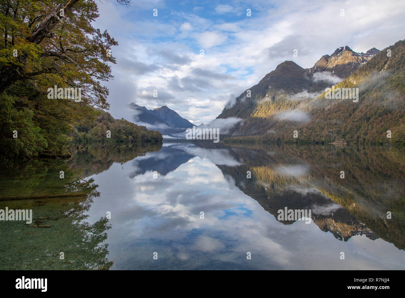 Il lago di Gunn con sorprendente riflessioni di Fiordland, Nuova Zelanda Foto Stock