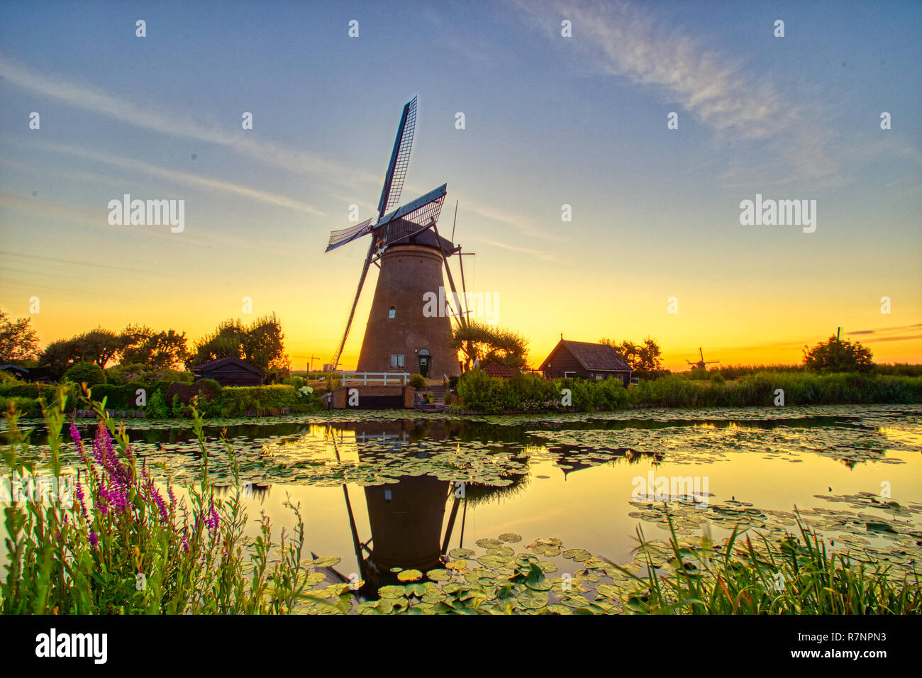 Vista di mulini a vento tradizionali al tramonto in Kinderdijk, Paesi Bassi. Questo sistema di 19 mulini a vento è stata costruita intorno al 1740 ed è un patrimonio mondiale di UNESCO sit Foto Stock