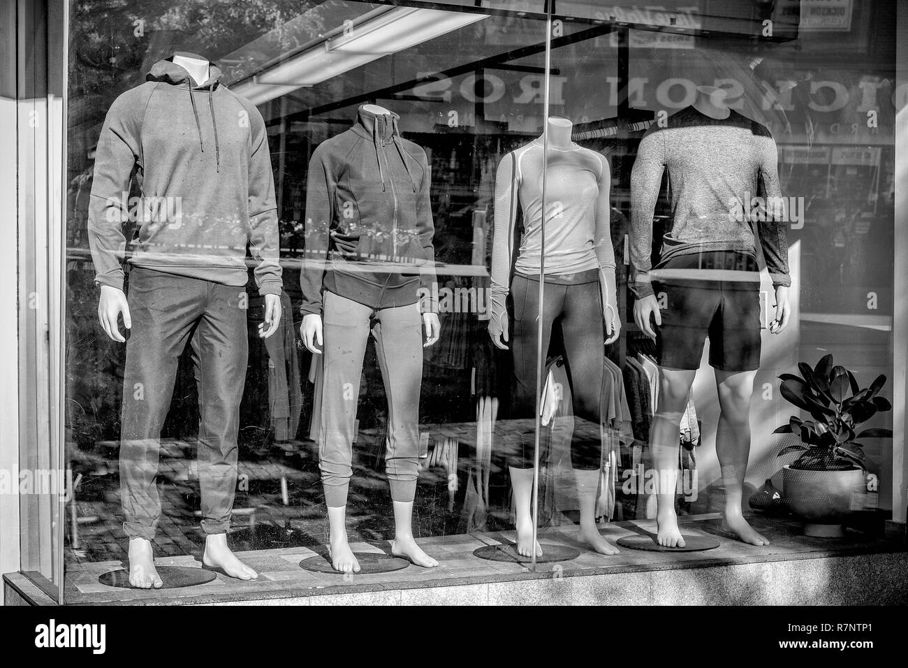 Una vetrina di un negozio in Harvard Square, Cambridge, MA Foto Stock
