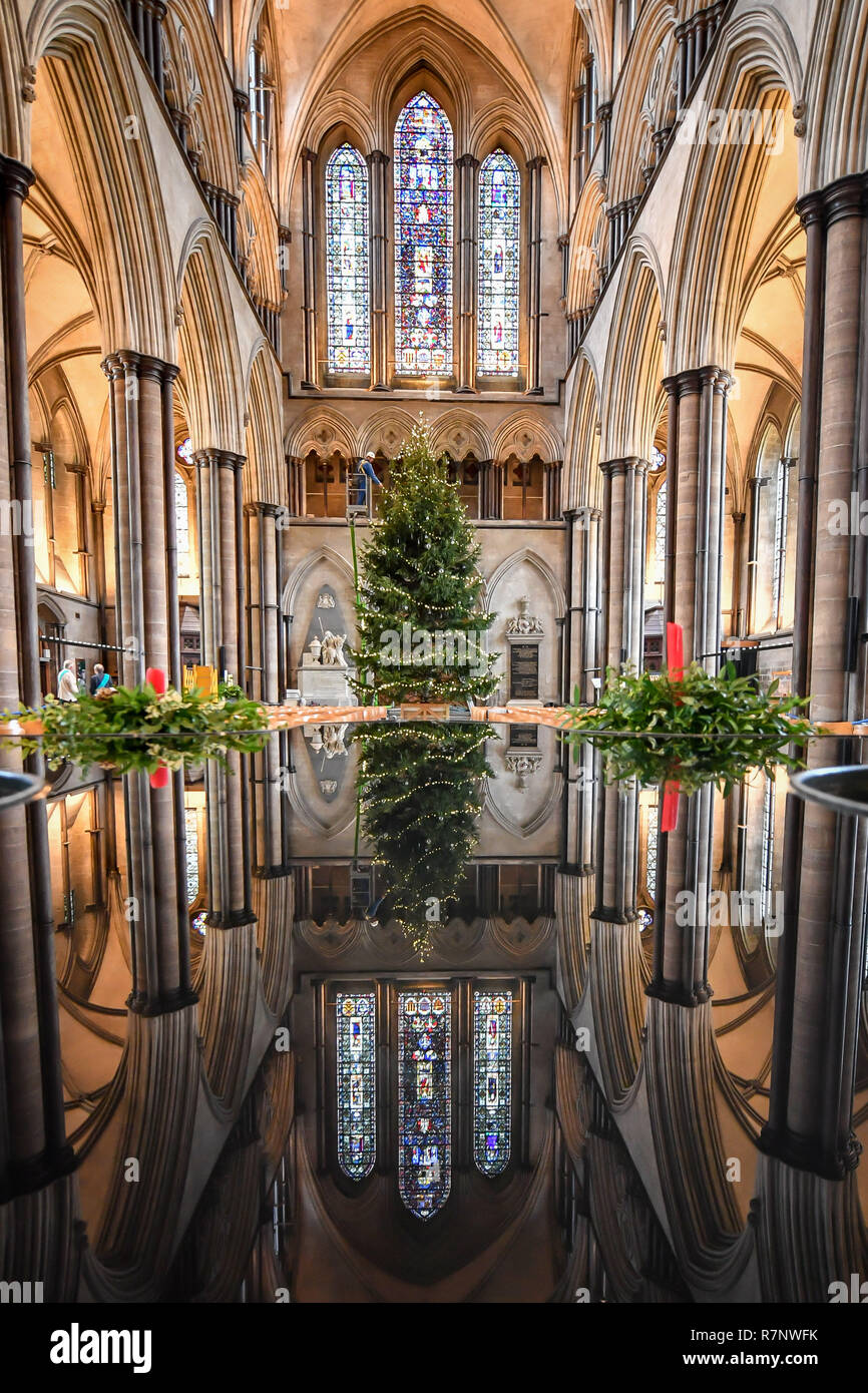 La Cattedrale di Salisbury ecclesiastiche di falegname, Richard Pike decora il 34ft Abete rosso albero di Natale, abbattuto a Longleat Estate, come il finale di rifili, compresi 1000 luci LED, baubles di vetro e gocce di ghiaccio, sono disposte sull'albero, che sta di fronte alla finestra Occidentale. Foto Stock