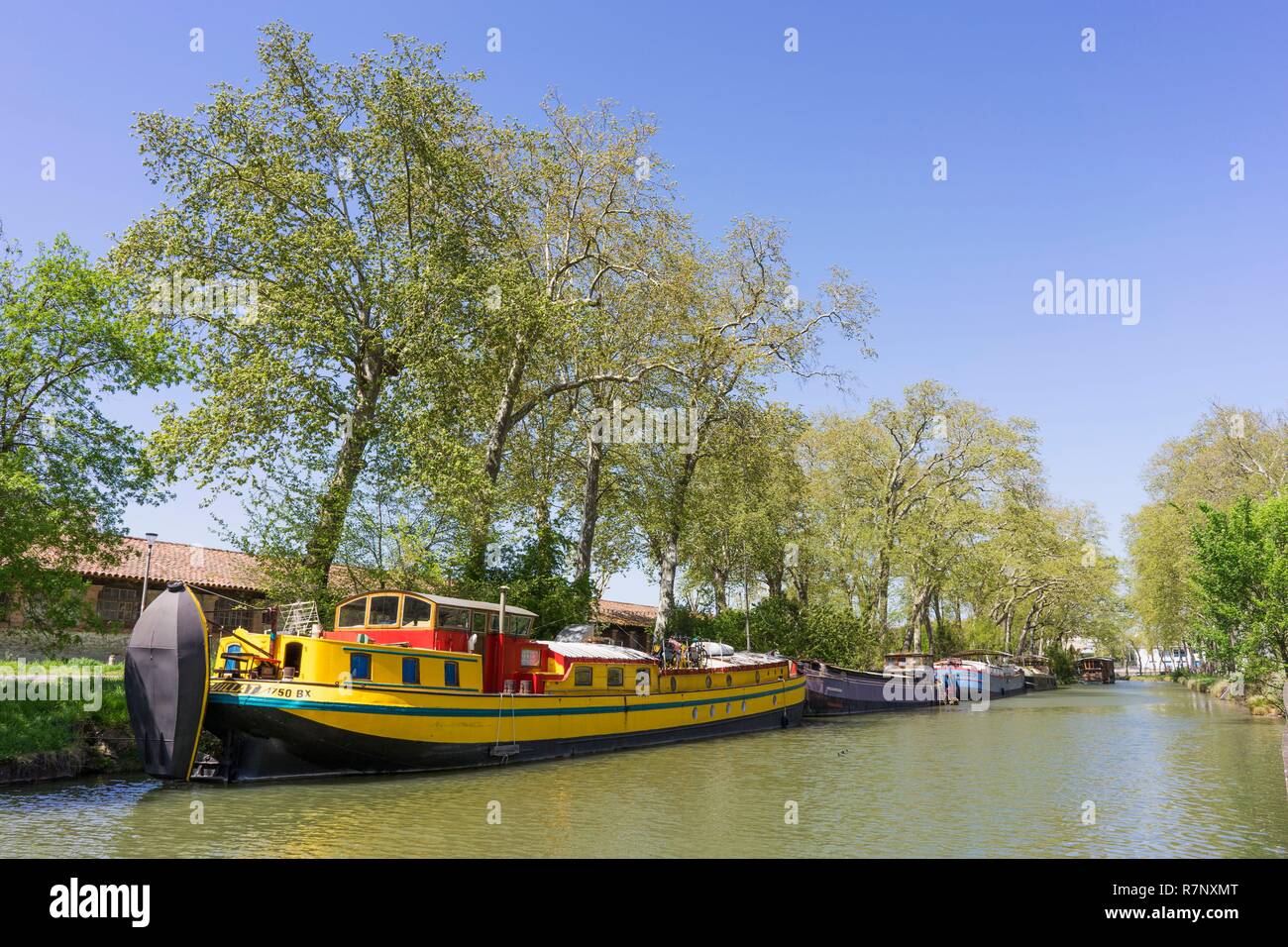 Francia, Haute Garonne, Tolosa, il Canal du Midi elencati come patrimonio mondiale dall' UNESCO Foto Stock