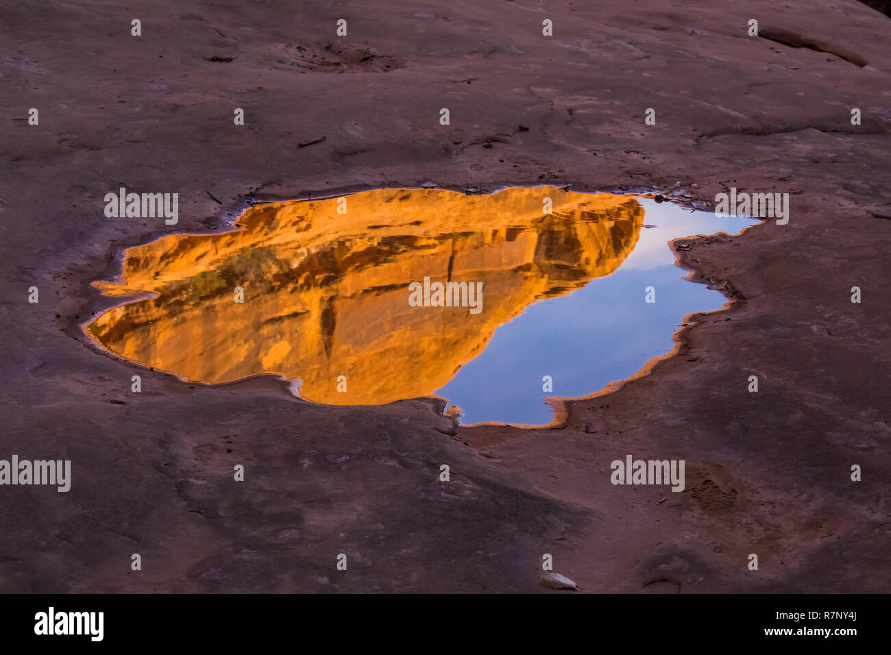 Pozza temporanea creata dai recenti temporale, in McLoyd Canyon sottostante Luna Casa rovina sul cedro Mesa, una volta parte di orsi orecchie monumento nazionale, Utah Foto Stock