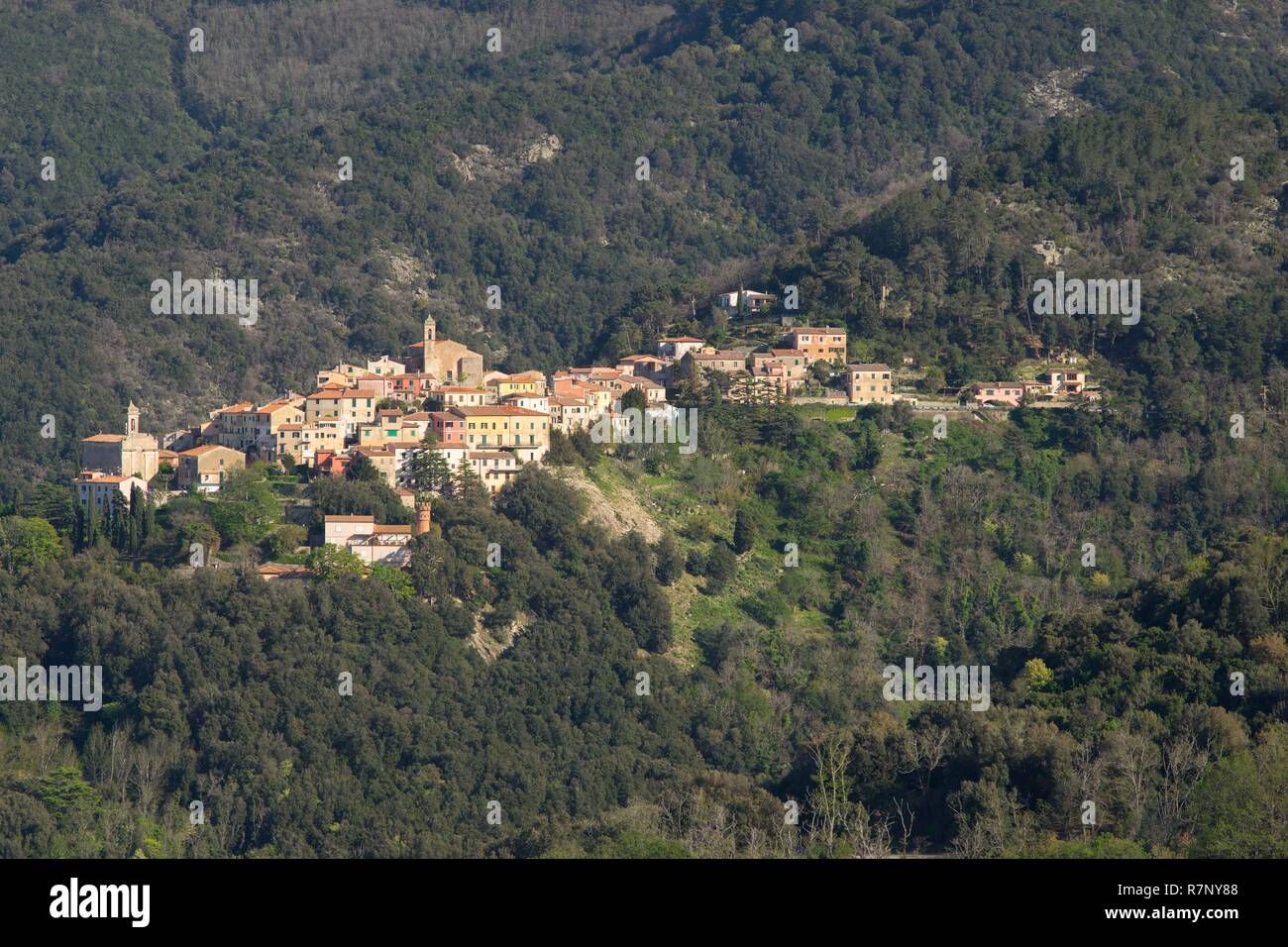 L'Italia, Toscana, Isola d'Elba, Poggio villaggio sulla costa nord Foto Stock